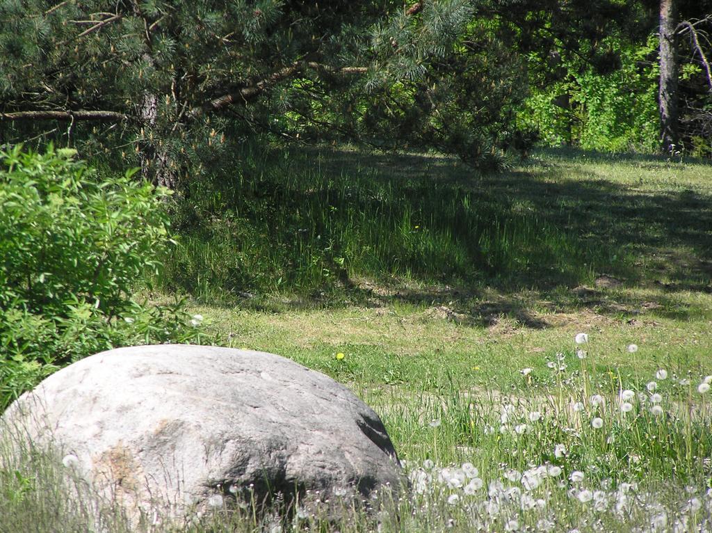 Wymoj Park Διαμέρισμα Stawiguda Εξωτερικό φωτογραφία
