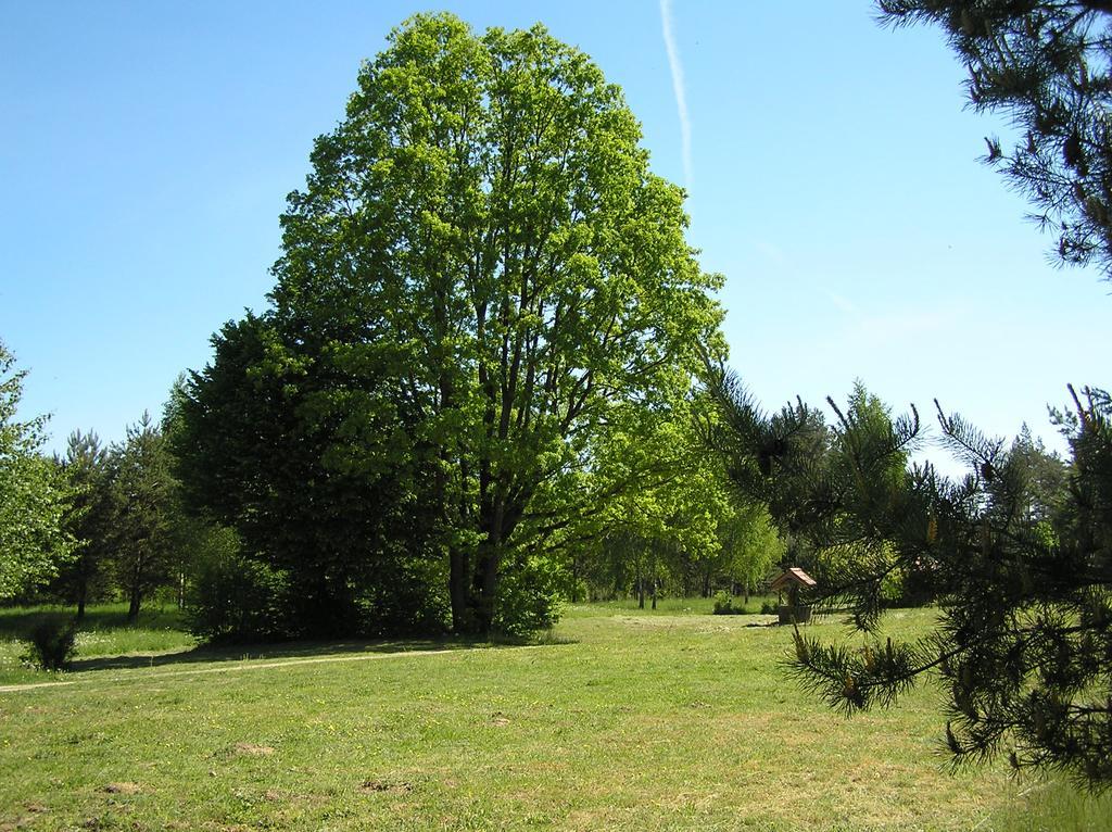 Wymoj Park Διαμέρισμα Stawiguda Εξωτερικό φωτογραφία